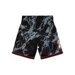 Шорты Team Marble NBA Philadelphia 76ers 2000 Swingman 2