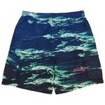 Плавки Supreme Cargo Water Short 'Boat' 2