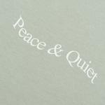 Топы Museum of Peace & Quiet Wordmark Reverse Stitched T-Shirt 'Шалфей' 3