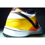 Кроссовки Nike Dunk Low Pro SB 'Raygun' 5