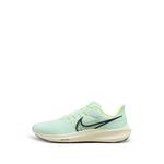 Кроссовки Zoom Pegasus на шнуровке 1