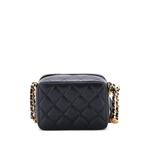 Клатч Twist Your Buttons Zip Around Vanity Case with Chain Quilted Caviar 2