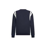 МУЖСКАЯ ТОЛСТОВКА С ЛОГОТИПОМ K-SWISS 2