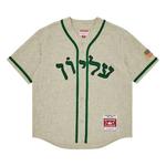 Футболки Supreme x Mitchell & Ness Wool Baseball Jersey 'Grey' 1