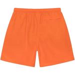 Плавки Stussy Big Basic Water Short 'Orange' 2