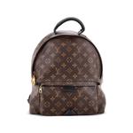 Рюкзак Palm Springs Monogram Canvas MM 1