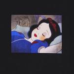 Футболки Supreme Snow White Tee «Black» 3