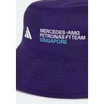 Панама Mercedes - AMG Petronas Formula 1 Team Vanda Bloom 3