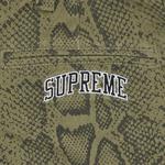 Pants Supreme Snake Print Chino Pant 'Оливковый' 3