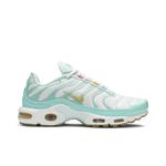 Кроссовки Nike Wmns Air Max Plus 'Teal Twist' 1