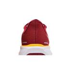 Кроссовки Nike Air Zoom Pegasus 41 «USC» 7