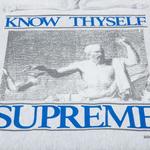 Толстовки Supreme Know Thyself Hooded Sweatshirt 'Ash Grey' 3