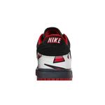 Кроссовки Nike Dunk Low Premium 'Jordan Pack' 7