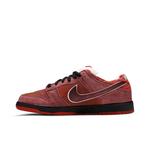Кроссовки Nike Dunk Low Premium SB 'Lobster' 3