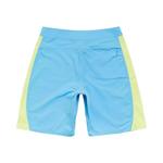 Плавки Stussy Curved Panel Board Short 'Light Blue' 2