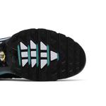Кроссовки Nike Air Max Plus 'Aqua Silver' 5