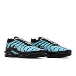 Кроссовки Nike Air Max Plus 'Aqua Silver' 8