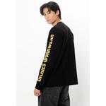 Тяжелая футболка Dickies x H-D® LS Eagle Tee 2