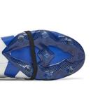 Бутсы adidas Predator Accelerator FG 'Royal Blue Solar Yellow' 5