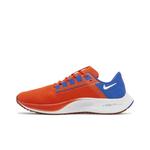 Кроссовки Nike Air Zoom Pegasus 38 'Florida' 3