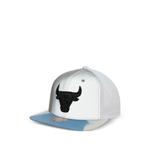 Кепка NBA Chicago Bulls 1