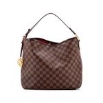 Сумка Delightful NM Handbag Damier MM 1