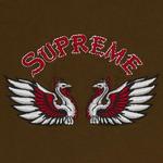 Футболки Supreme Phoenix Short-Sleeve Top 'Коричневый' 3
