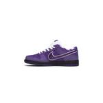Кроссовки Concepts x Nike Dunk Low SB 'Purple Lobster' Special Box 3