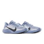 Кроссовки Nike Pegasus Plus 'Ashen Slate' 8