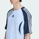 Футболка Teamgeist Adicolor 8