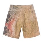 Шорты Stussy Wings Print Knit Short 'Multi' 2