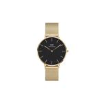 Petite Evergold 36mm 1