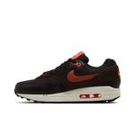 Кроссовки Nike Air Max 1 Premium 'Velvet Brown' 4