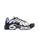 Кроссовки Nike Air Max Plus GS «Персидский фиолетовый» 1