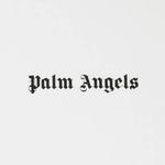 Футболки с коротким рукавом Palm Angels Logo Slim Tee 'Белый' 3