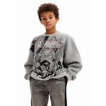 Desigual Niños Толстовка Spiderman 1