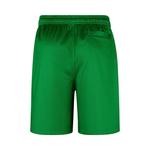 Шорты Nike x Class Trip x Grateful Ducks Mesh 'Green' 2