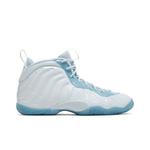 Кроссовки Nike Little Posite One GS 'Aura Worn Blue White' 1