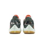 Кроссовки Nike Zoom Freak 2 'Ashiko' 6