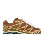 Кроссовки Salomon XT-6 'Rubber Lizard' 2