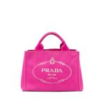 2013-2026 Small Canvas Canapa Logo Tote satchel 1