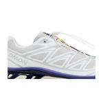 Кроссовки Salomon XT-6 'Lunar Rock Liberty' 2