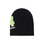 Бини Stussy 4x4 Skullcap 'Black' 2