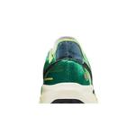 Кроссовки Nike Air Zoom Pegasus 41 'International Running Pack' 7