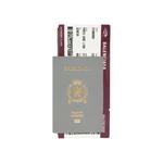 Кошельки Balenciaga Passport Long Wallet 1 Ticket 'Grey' 2
