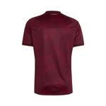 Джерси Adidas Venezuela 26 Home Jersey 'Team Coll Burgundy 2' 2