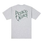 Футболки Museum of Peace & Quiet Warped Wordmark T-Shirt 'Heather Grey' 2