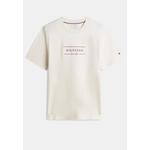 Футболка Brand Love Icon - Tommy Mainline 2
