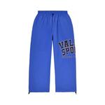 Спортивные штаны Vale Forever Sport Division Sweats 'Sapphire' 1