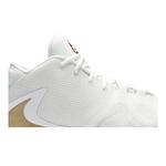 Кроссовки Nike Zoom Freak 1 EP 'Roses' 2